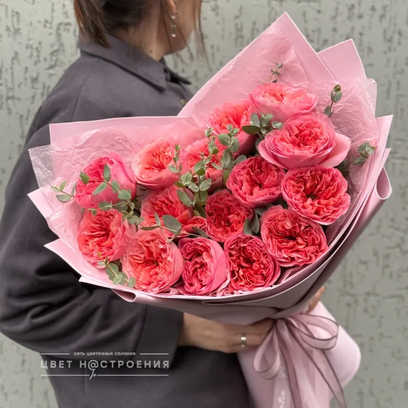 Пинк Экспрешн