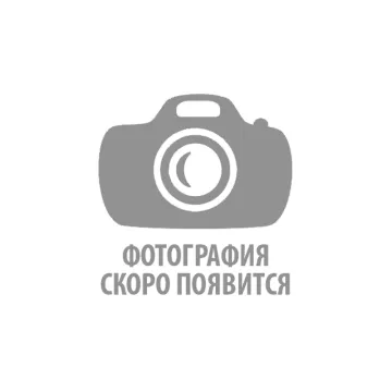 25 красных роз от интернет-магазина цветов в 