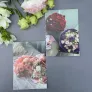 Открытка «Нежность»