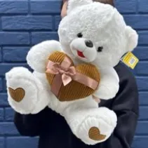 Мягкий медведь Олив