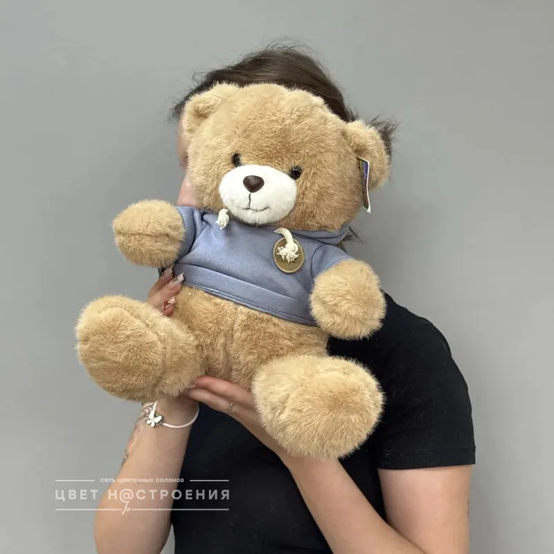 Мягкий медведь Олив