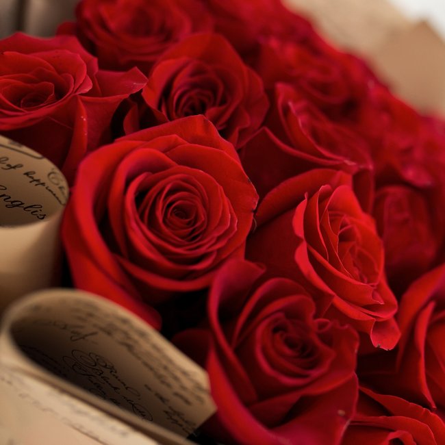 25 красных роз в упаковке - салон «Цвет настроения» в Уфе