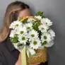 Солнышко в руках