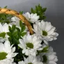 Солнышко в руках