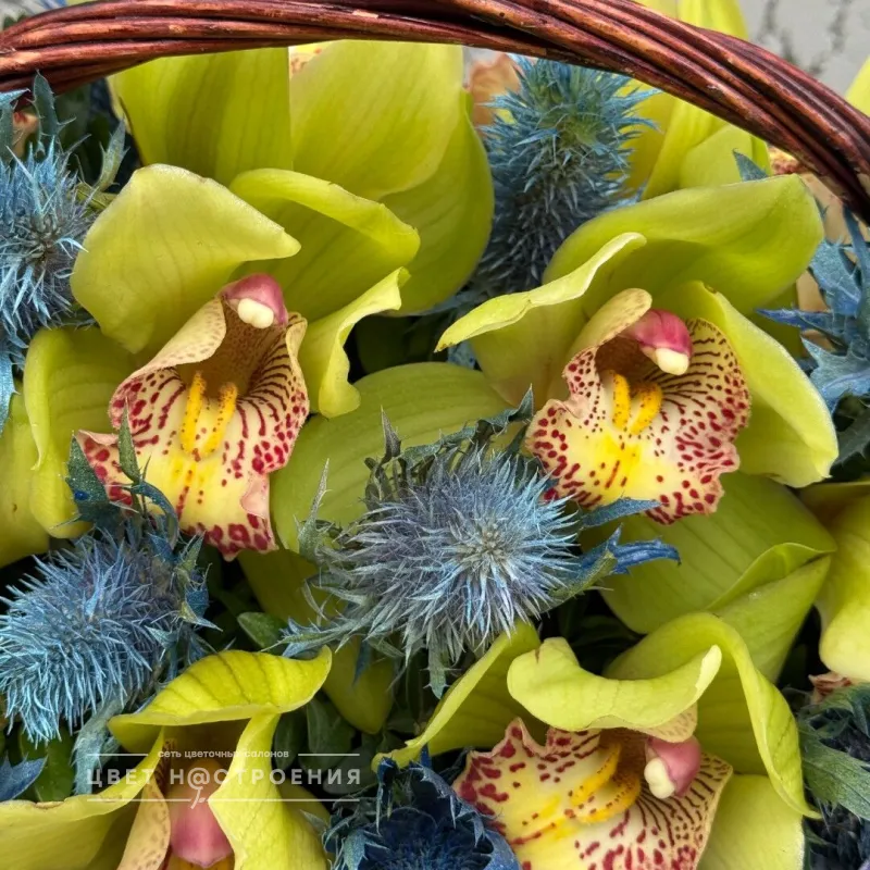Римские каникулы