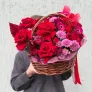 Лучшее предложение