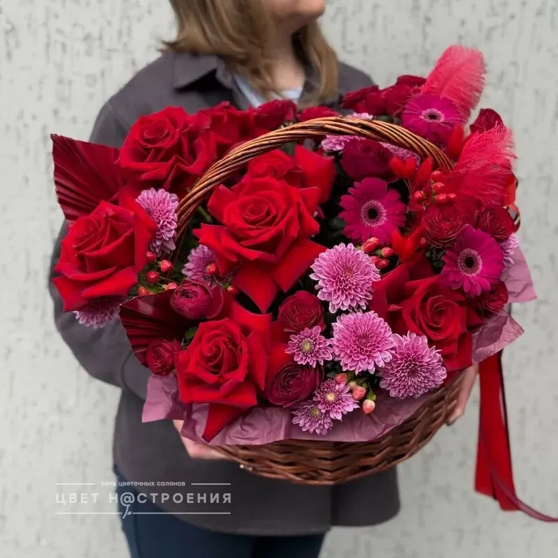 Лучшее предложение