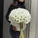 Композиции