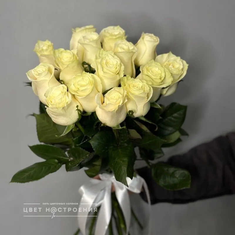 Белые розы Эквадор 50см
