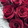 15 красных роз 60см в упаковке