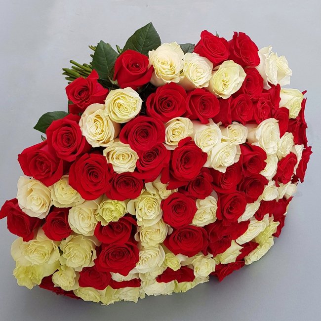 101 красно-белая роза - салон «Цвет настроения» в Уфе 10027