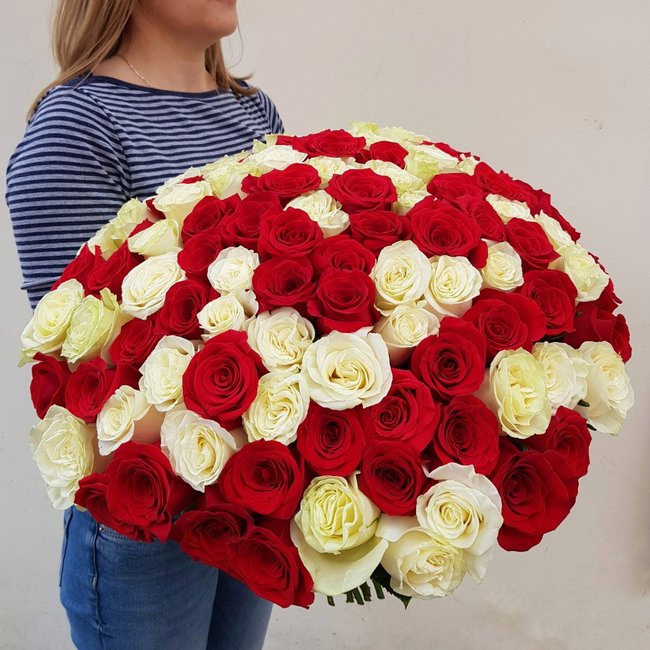 101 красно-белая роза - салон «Цвет настроения» в Уфе