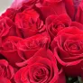 25 красных роз 60см в упаковке