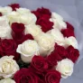51 красно-белая роза 60см в упаковке