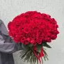 101 красная роза 60см