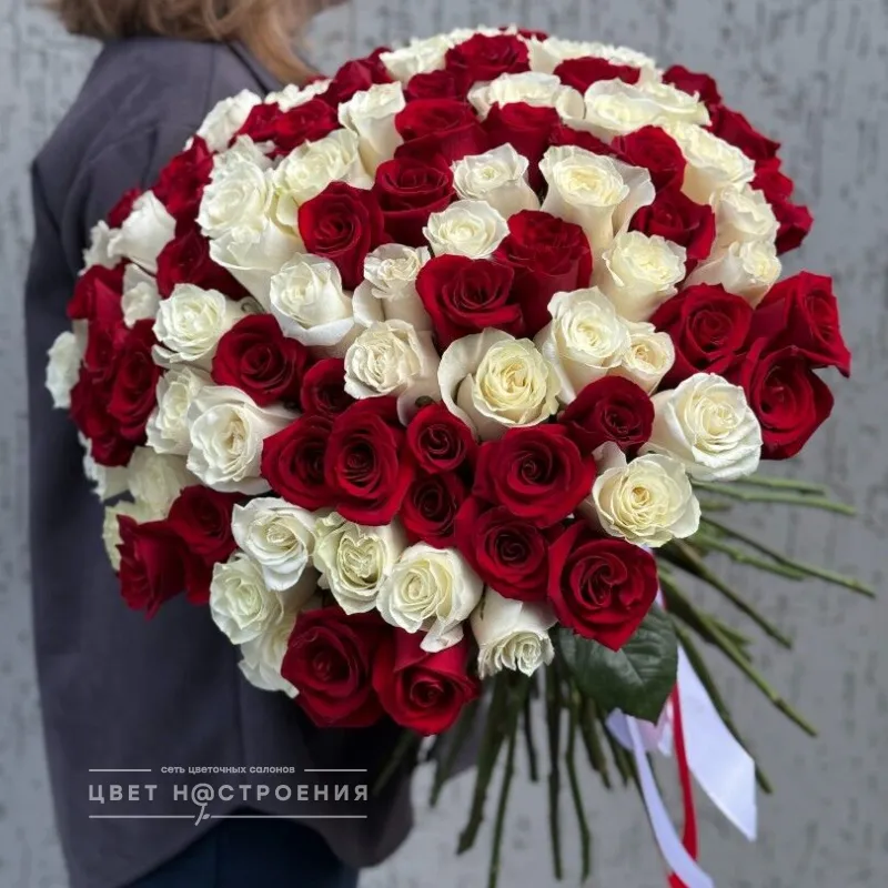 101 красно-белая роза 60см