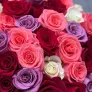 101 Эквадорская роза микс 50см
