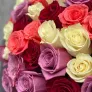 101 Эквадорская роза микс 50см