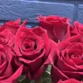 15 красных роз Эквадор 60см
