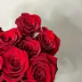 15 красных роз Эквадор 60см