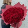 101 красная роза в упаковке 60см