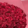 101 красная роза в упаковке 60см