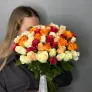 51 роза Кения микс с лентой