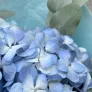 Сапфир