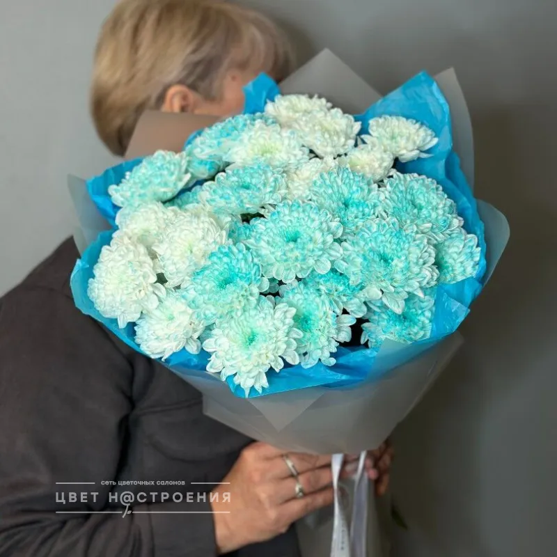 Небесная Феерия