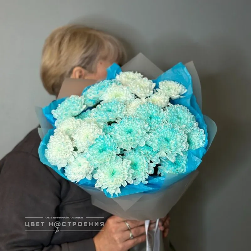 Небесная Феерия