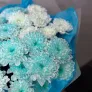Небесная Феерия