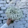Свадебный букет «Шарлотта Бронте»
