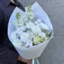 Аврора
