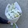 Аврора