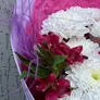 Виктория