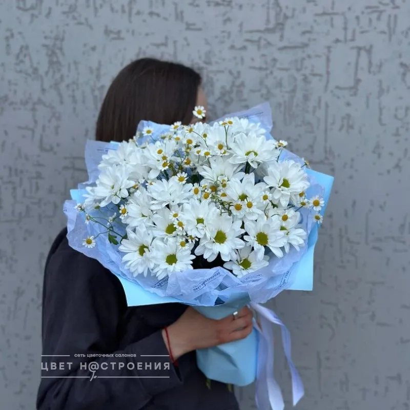 Альпийский луг