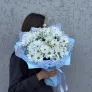 Альпийский луг