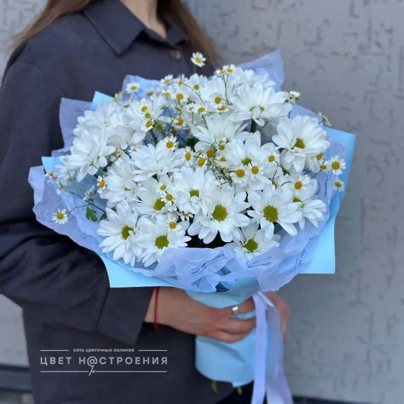 Альпийский луг