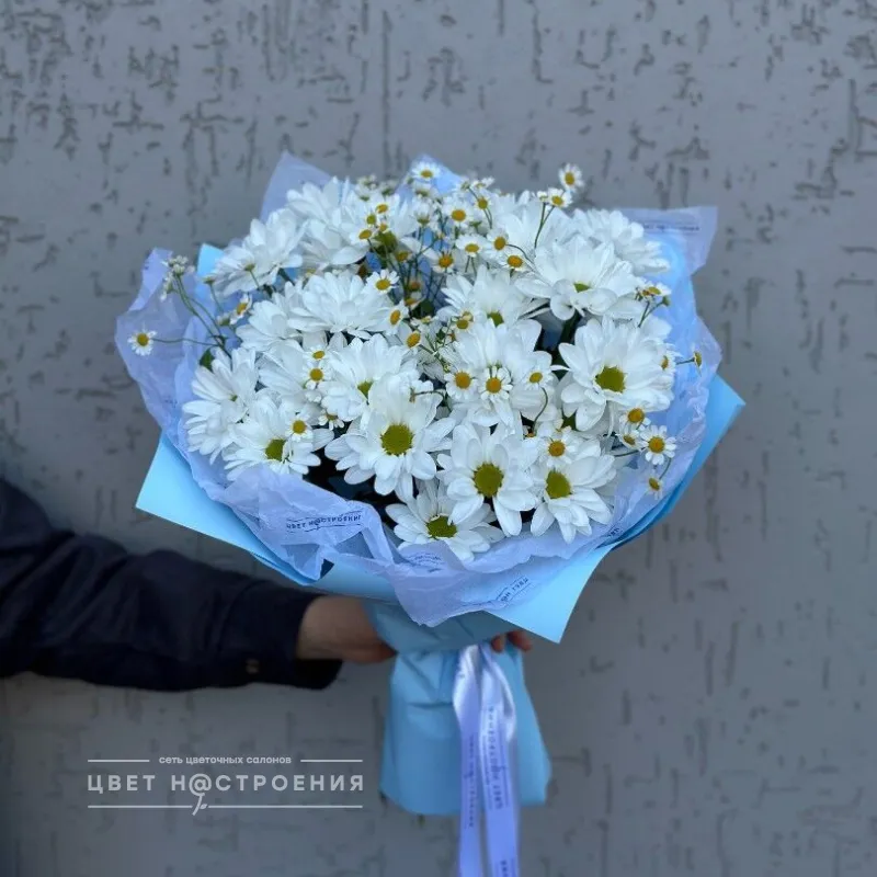 Альпийский луг