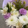 Юное сердце