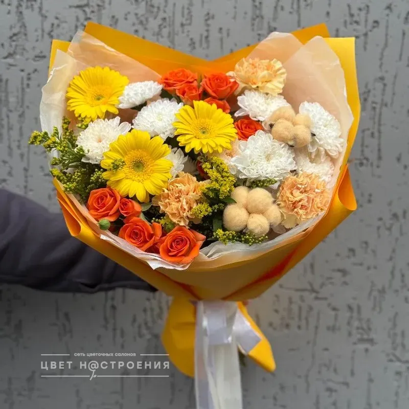 Яркие мгновения