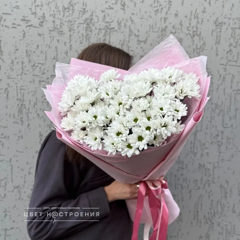 Полярная звезда