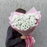 Полярная звезда