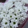 Полярная звезда