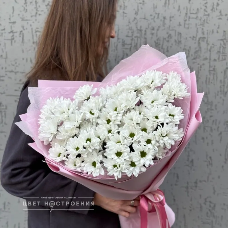 Полярная звезда