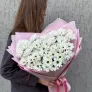 Полярная звезда