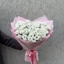 Полярная звезда