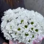 Любимой мамочке!