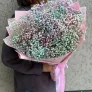Звездная пыль