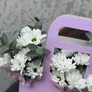 Бакарди Бланш